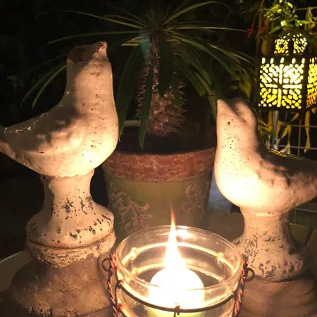 Caffeletti Friendly 3*