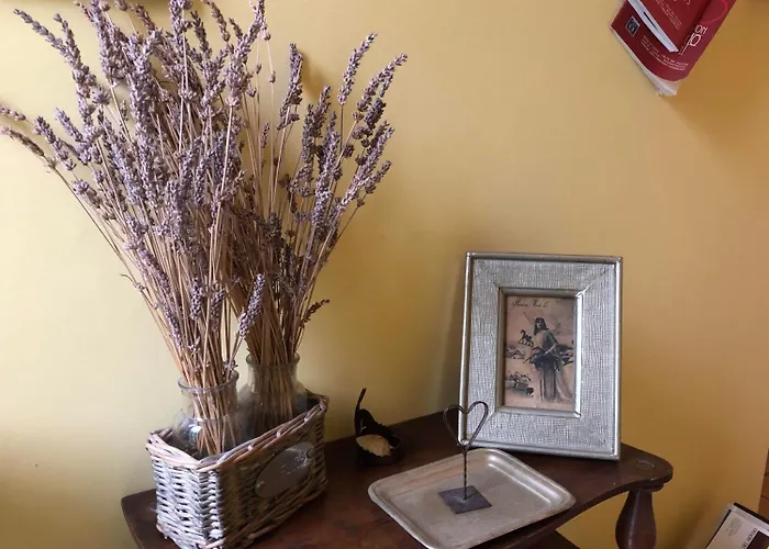 Caffeletti Friendly 3* Торре-дель-Лаго-Пуччини